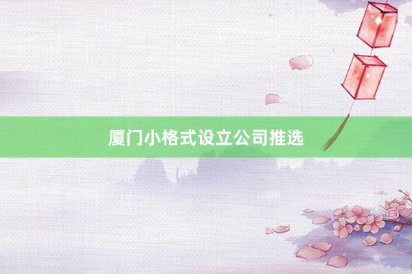 厦门小格式设立公司推选