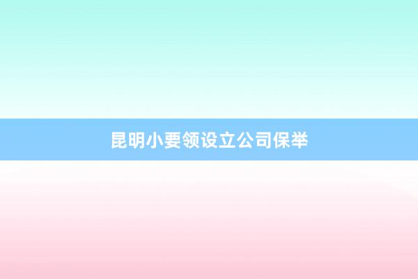 昆明小要领设立公司保举