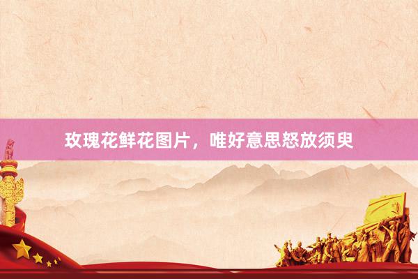 玫瑰花鲜花图片，唯好意思怒放须臾